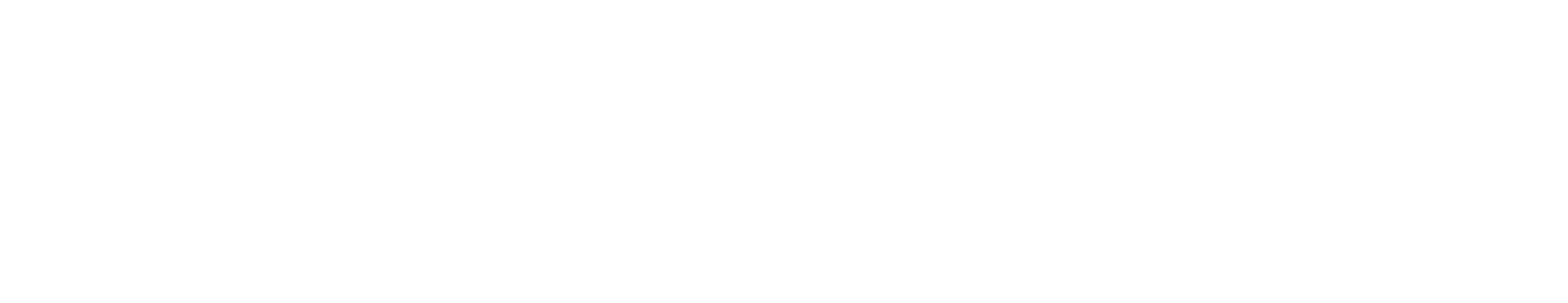 Davide Bortoloni Logo